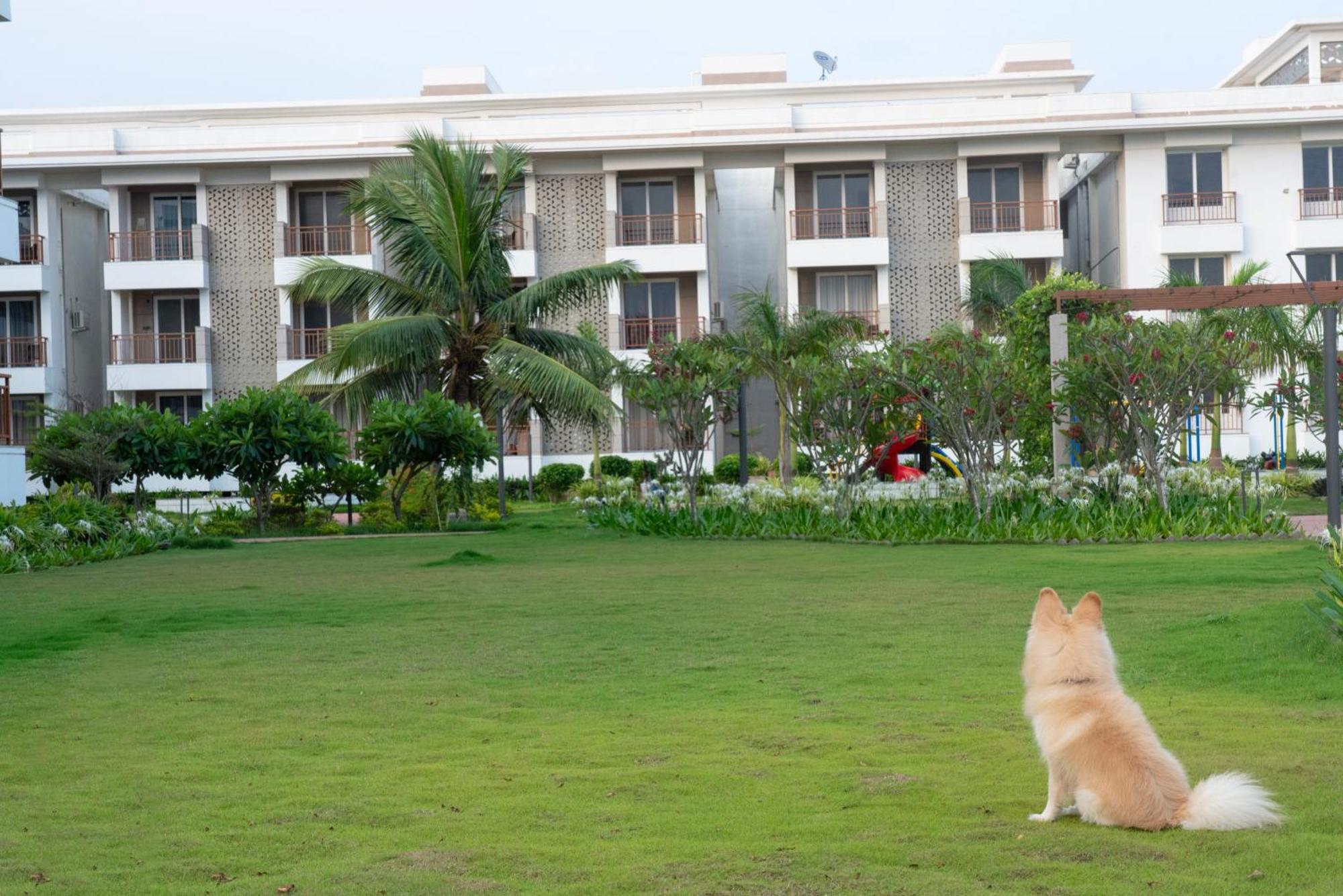 Palm Regal Resort Gopālpur Exterior foto